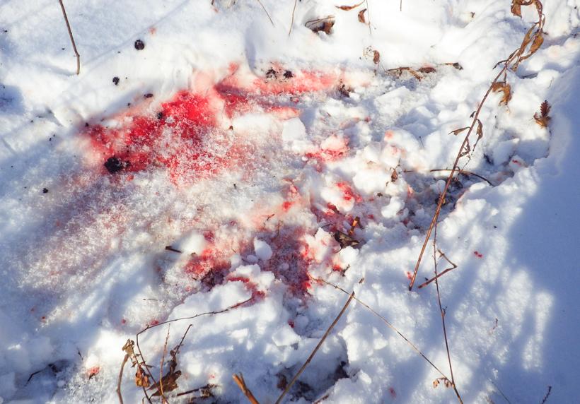 Older bed with snow flakes