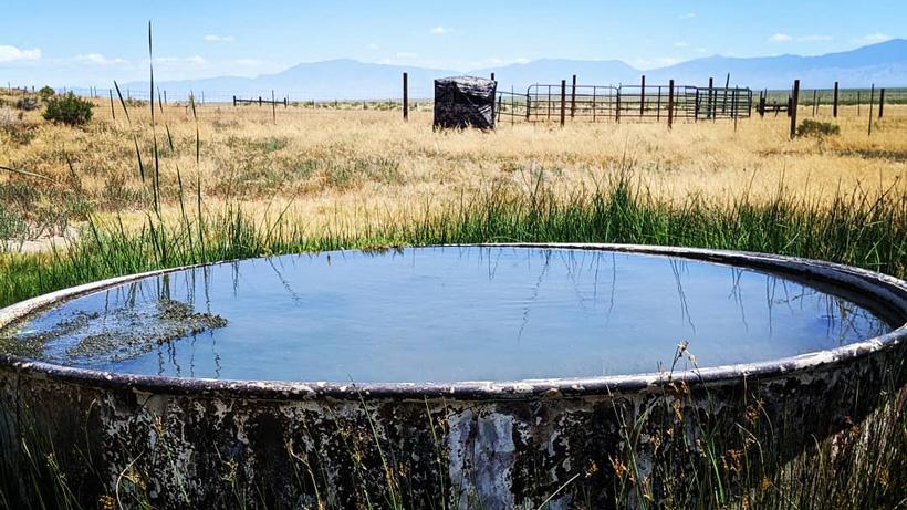 Water tank and ground blind for antelope