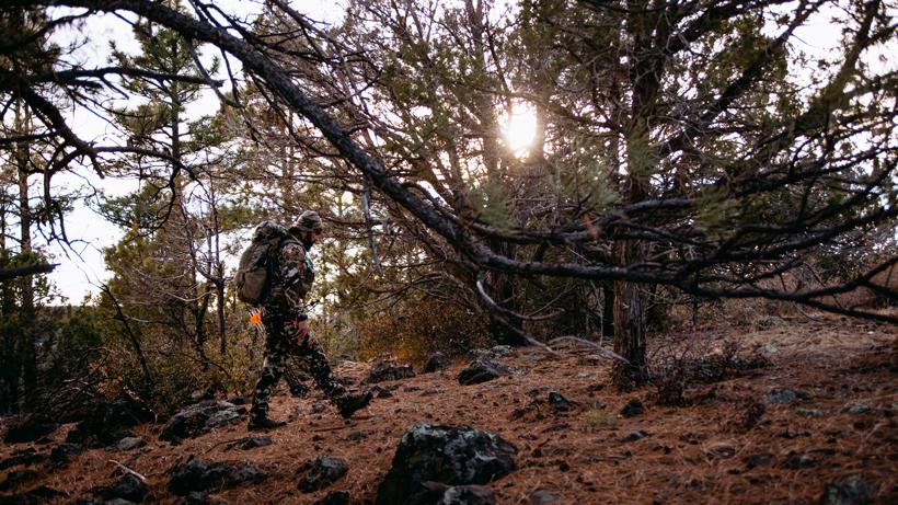 Strategic benefits of backpack hunting 4