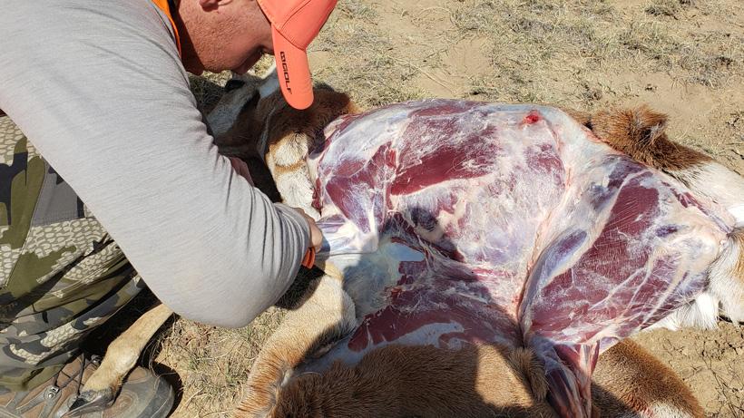 Jake horton antelope western hunting 2
