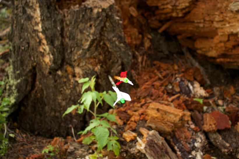 Stump shooting for practice while hunting 2