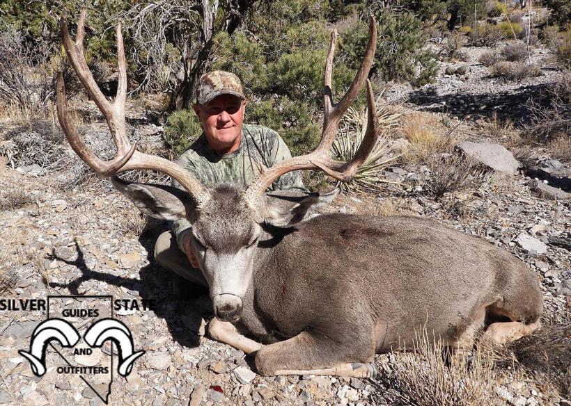 Information on applying for Nevada's 2022 nonresident mule deer guided draw - 10d