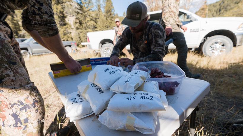 Processing game meat