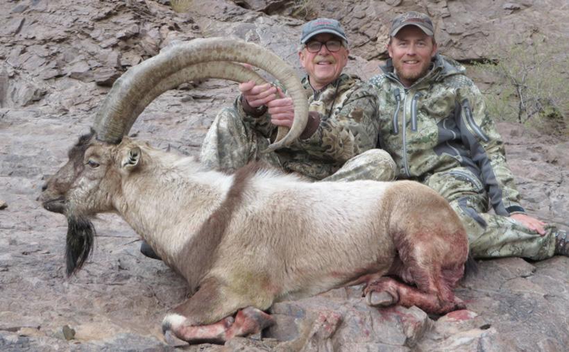 New mexico ibex taken with grahams guide service