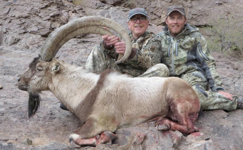 APPLICATION STRATEGY 2017: New Mexico Sheep and Exotics - 4d