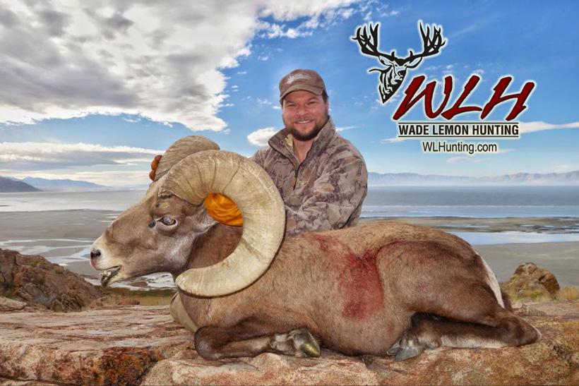 Steve huskie with his utah california bighorn sheep taken with wade lemon hunting