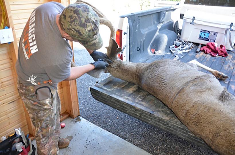 Cut two down from ears