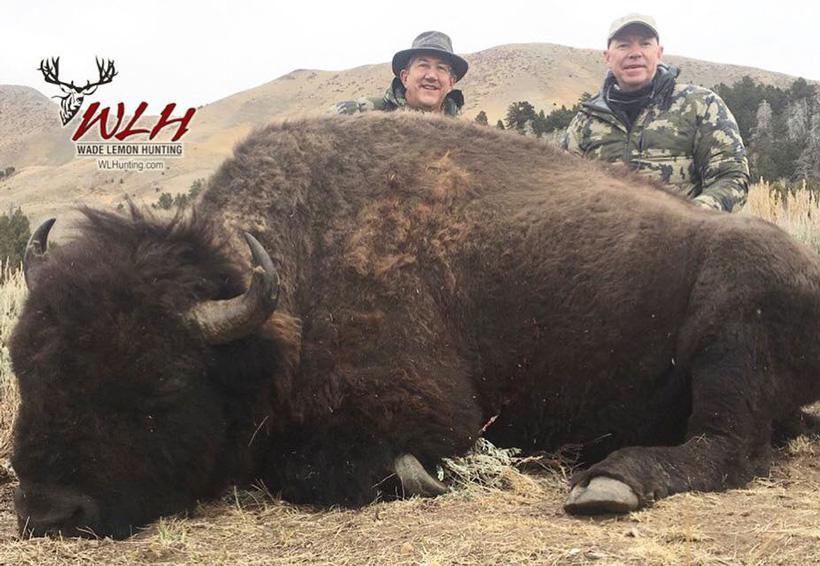 Utah bison taken with wade lemon hunting