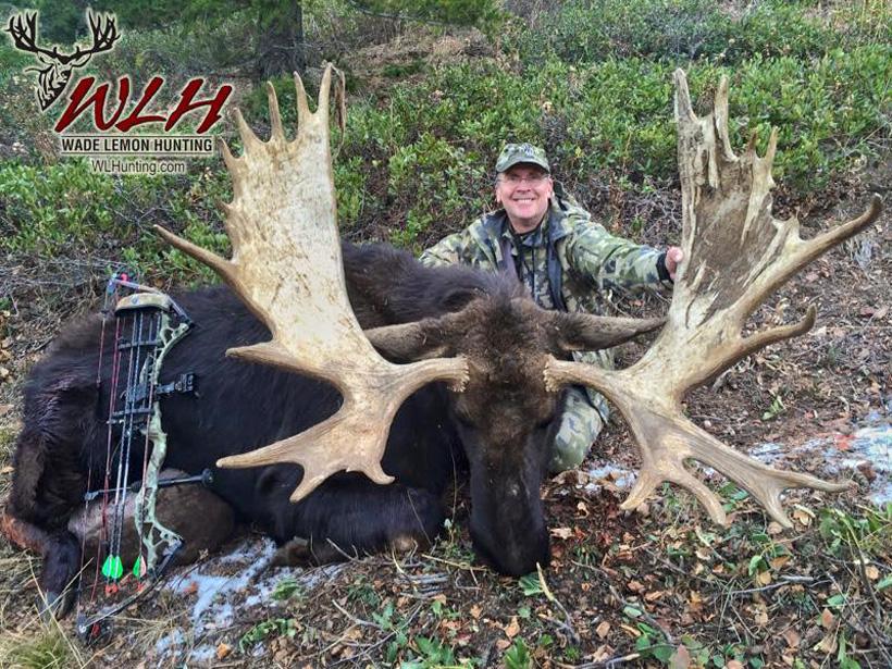 Jeb belise utah state record moose taken with wade lemon hunting