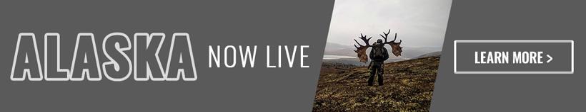 Alaska now live banner