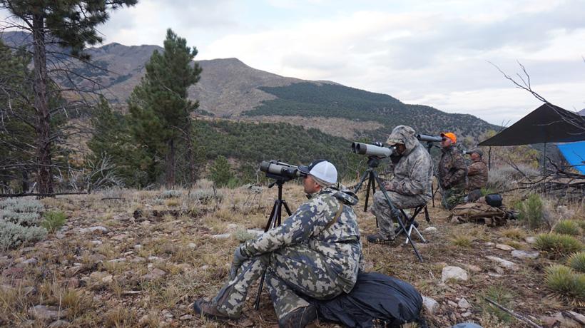 Unit focus: What makes the Henry Mountain mule deer so famous? - 8