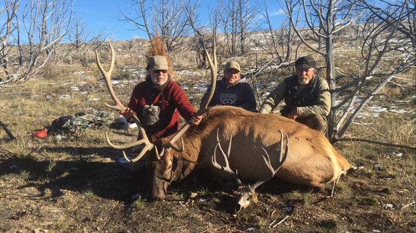 Nevada bull elk taken with secret pass outfitters