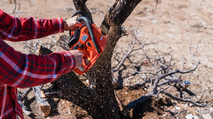 Cutting branches off tree stump