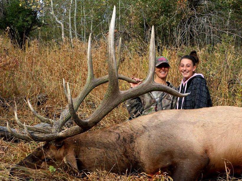Wendy perkes bull elk taken with bearpaw outfitters