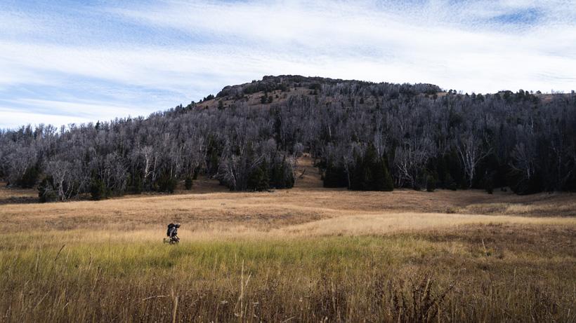 Elk hunting terrain_1