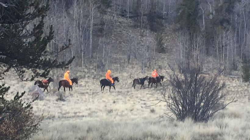 Using elk hunters to help deer hunt