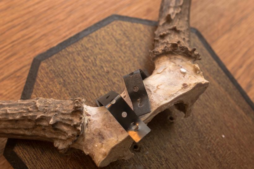 Metal band around skull plate