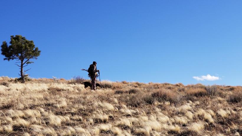 Elk antler shed hunting Jake Horton