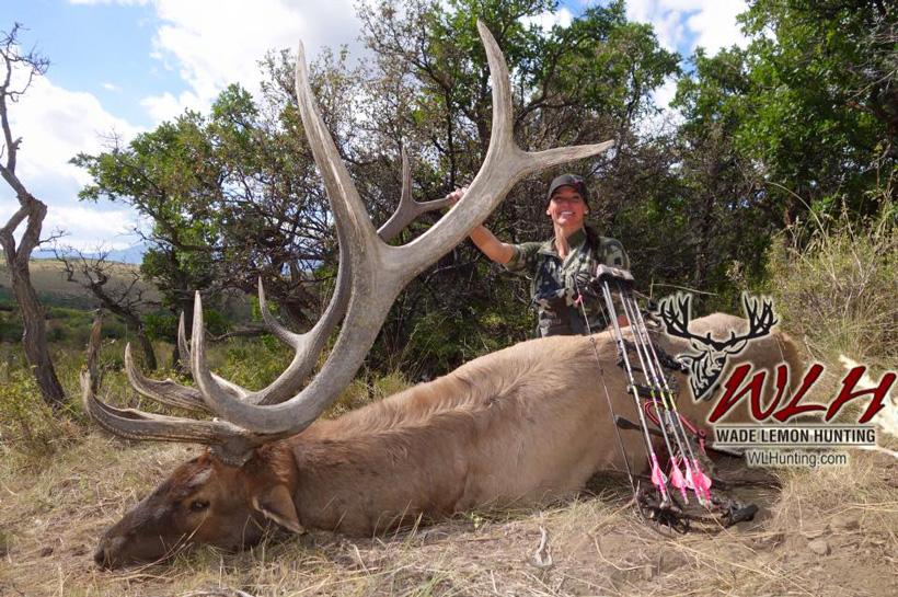 Robyn waldrip utah archery bull elk with wade lemon hunting