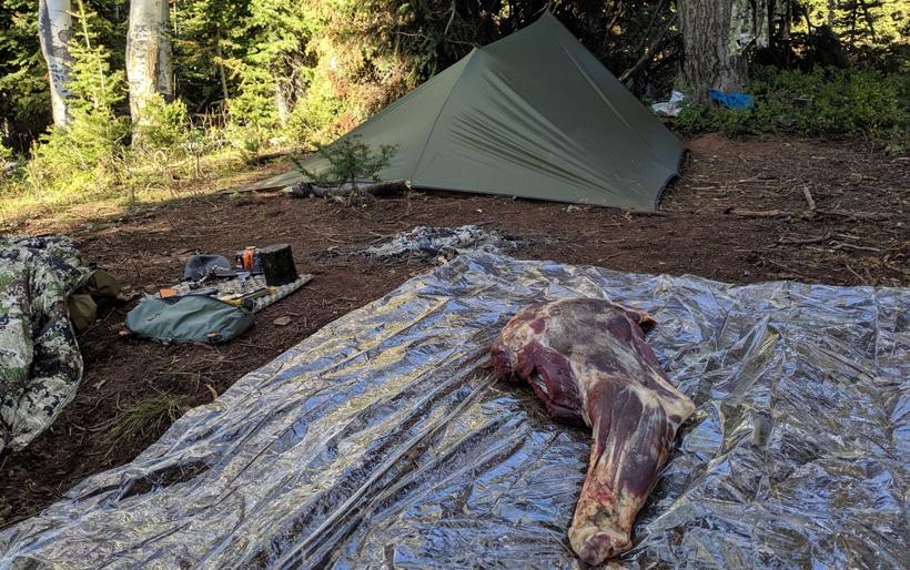 How to care for wild game meat in the field and get it home safely - 3