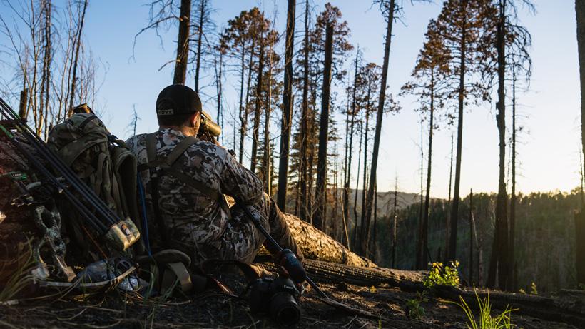 Glassing in the timber