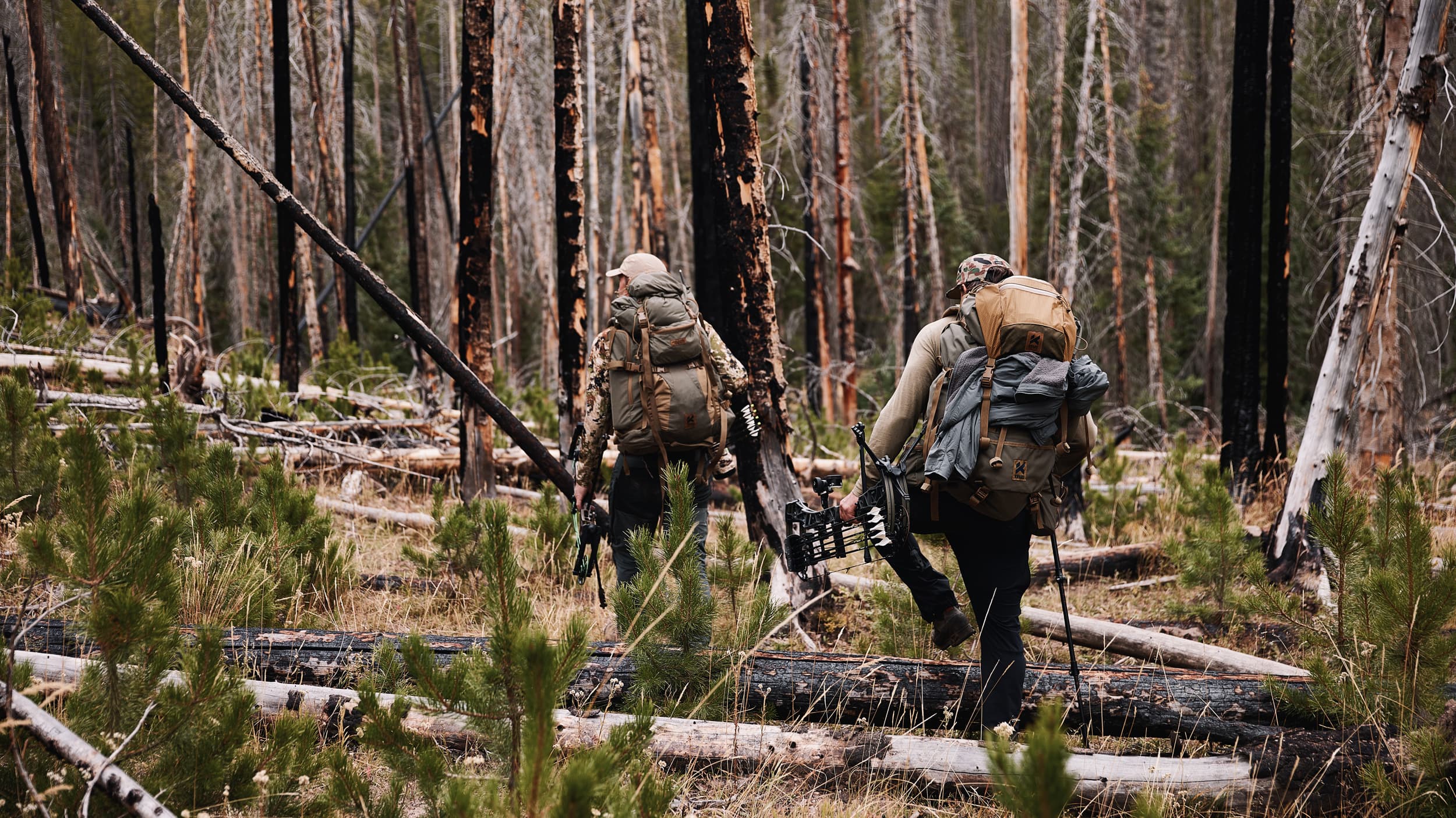 Hiking through timber to get close to call in elk