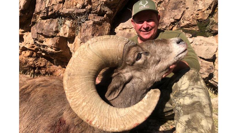 Patrick womack bighorn sheep
