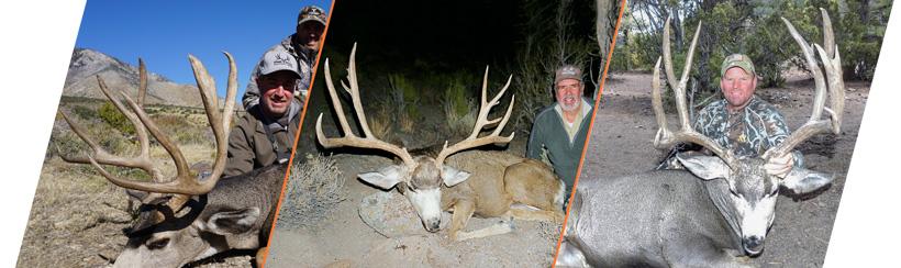 How to apply for Nevada’s 2018 mule deer guided draw - 7d