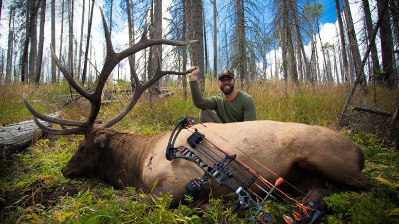 Lorenzo sartini backcountry archery elk from new mexico