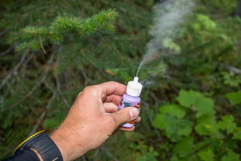 Checking wind direction