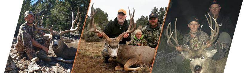How to apply for Nevada’s 2018 mule deer guided draw - 4d