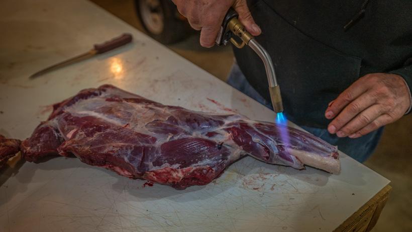 A beginner’s guide to processing your own wild game meat - 1