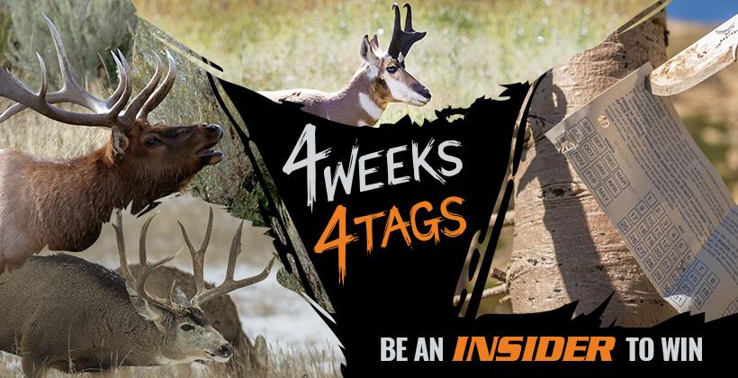 4W4T Insider landowner tag giveaway