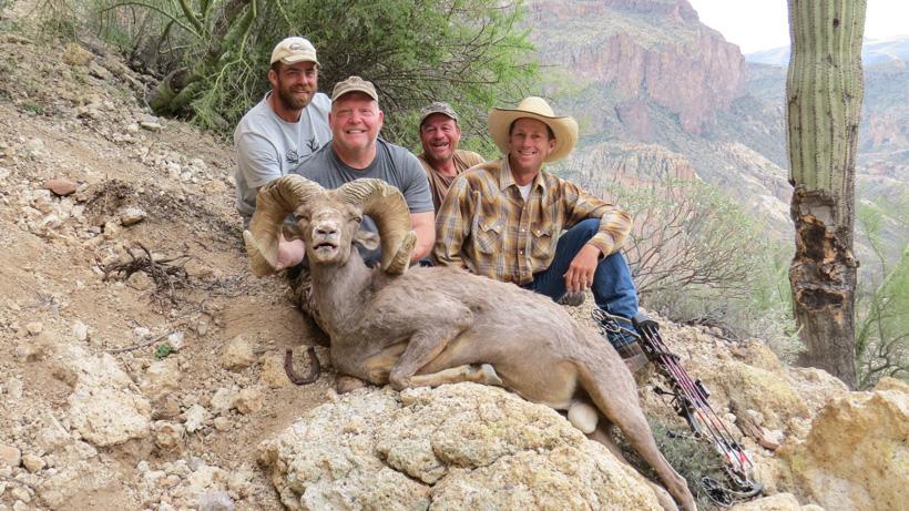 Tony loop 2015 arizona archery state record desert bighorn sheep taken with dieringer outfitters