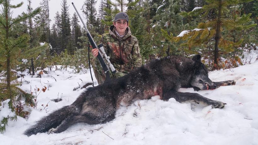 Wyatt oday with his montana wolf