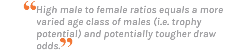 Male/female ratios: What does it mean for hunters? - 5
