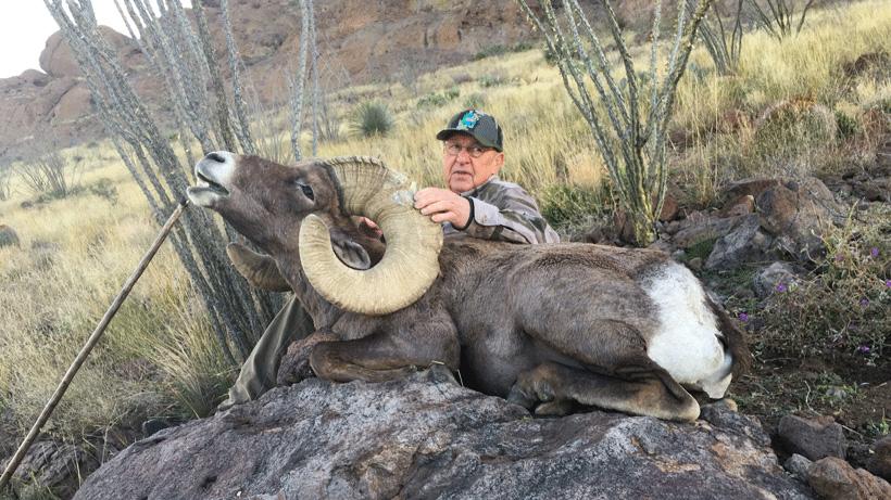 Craig shelley desert bighorn 2018