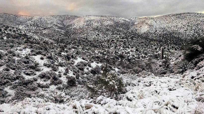 Arizona weather in the desert while hunting deer