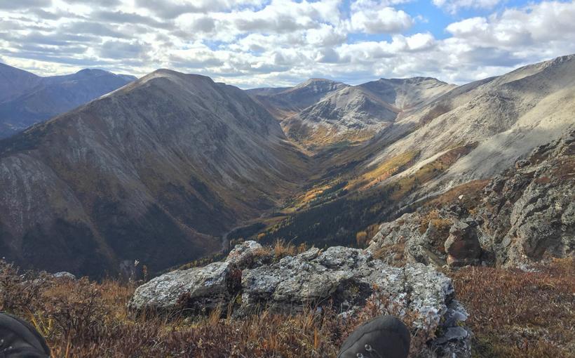 Stone sheep hunting habitat