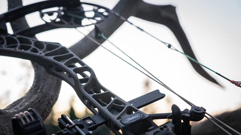 Mathews bow with archery elk