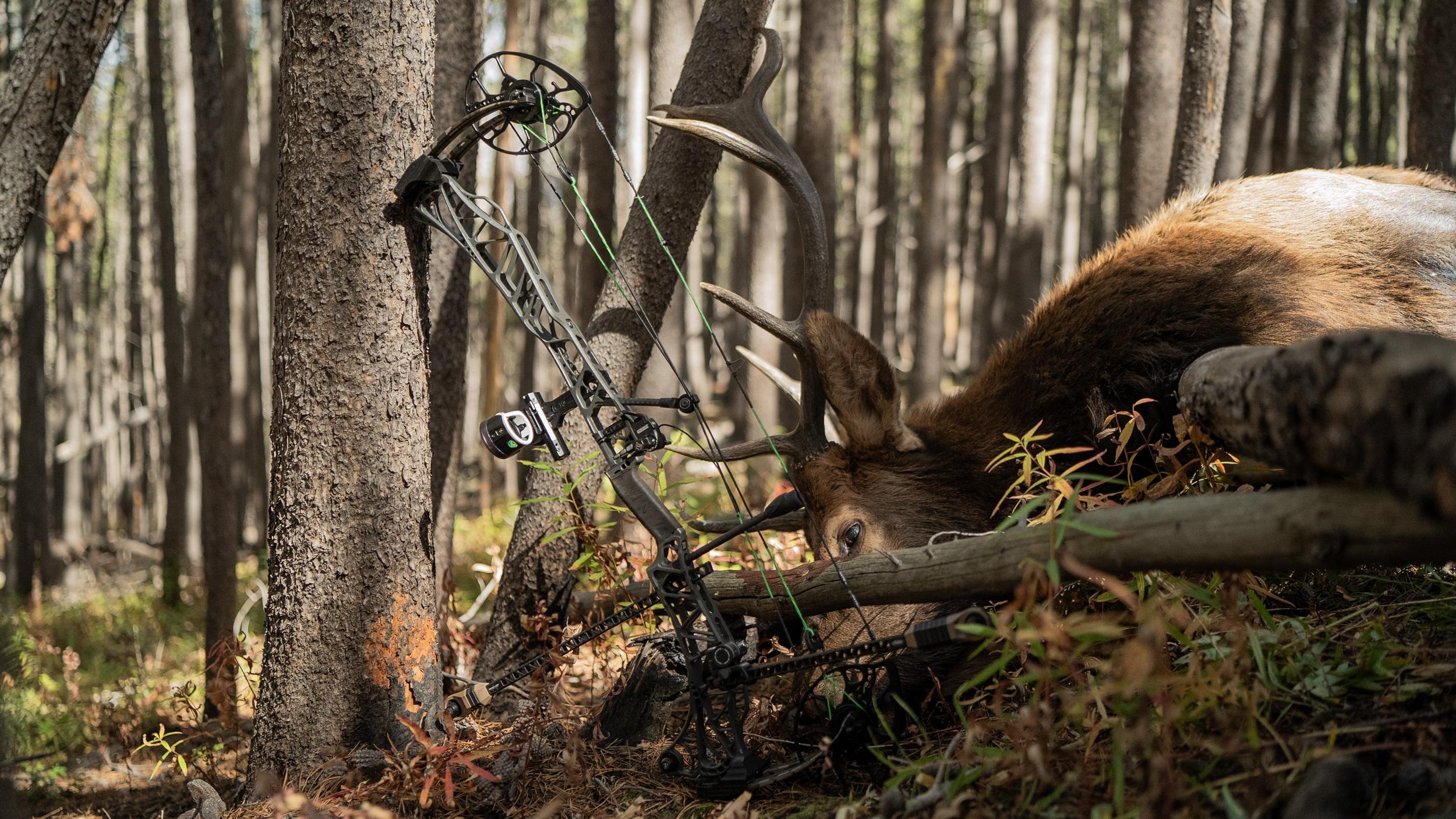 Mathews LIFT X hunting bow on an elk hunt