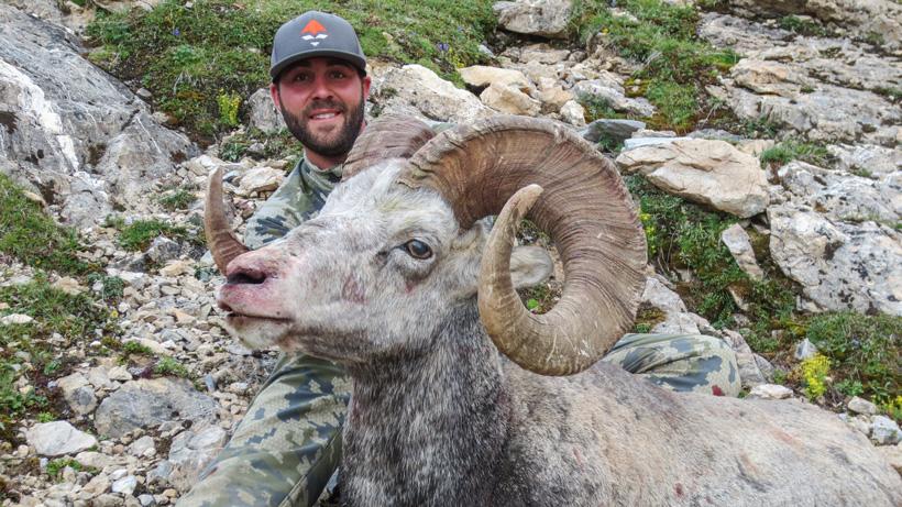 Lorenzo Sartini with his Stone sheep