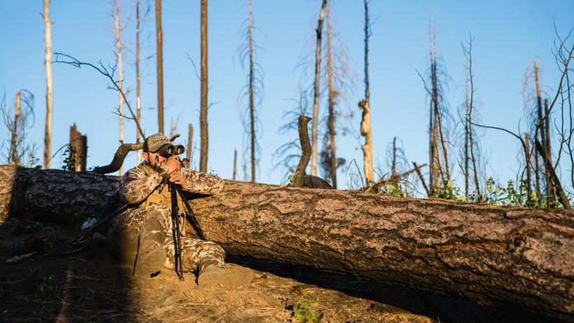 Glassing slow and steady for deer