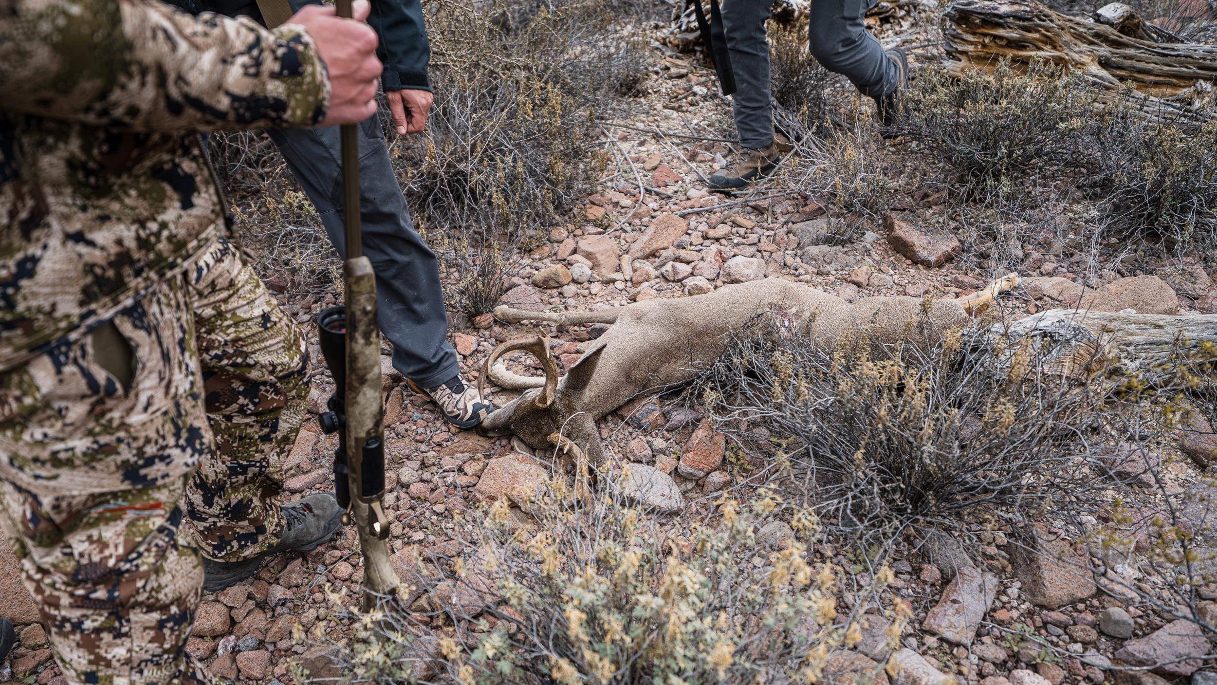 Browning X-Bolt rifle and a Mexico Coues deer buck