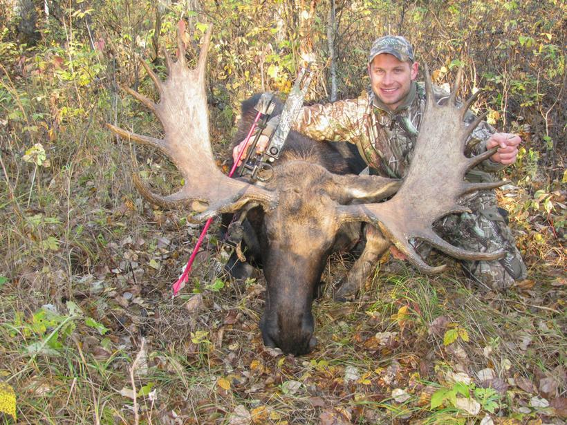 Gord nuttall archery bull moose