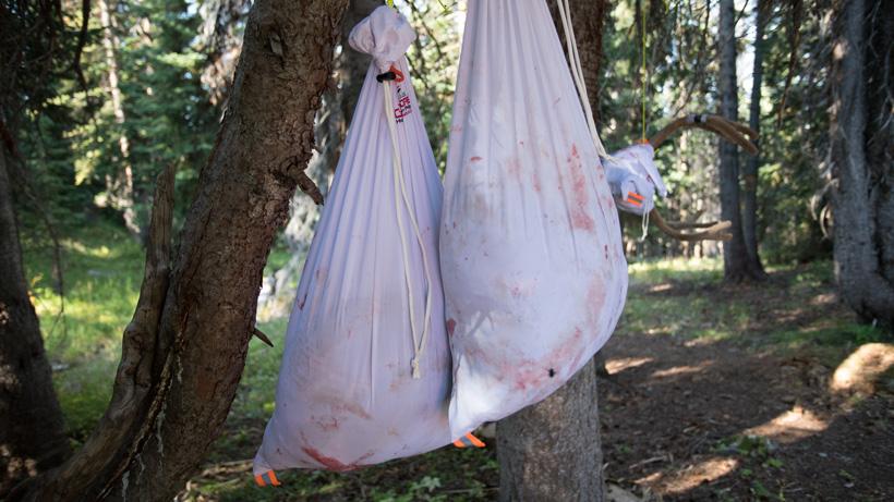 Caribou gear game bags full of boned out meat