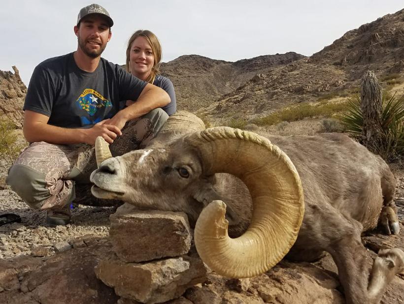 APPLICATION STRATEGY 2018: Nevada Sheep, Mtn Goat, Antelope - 2d