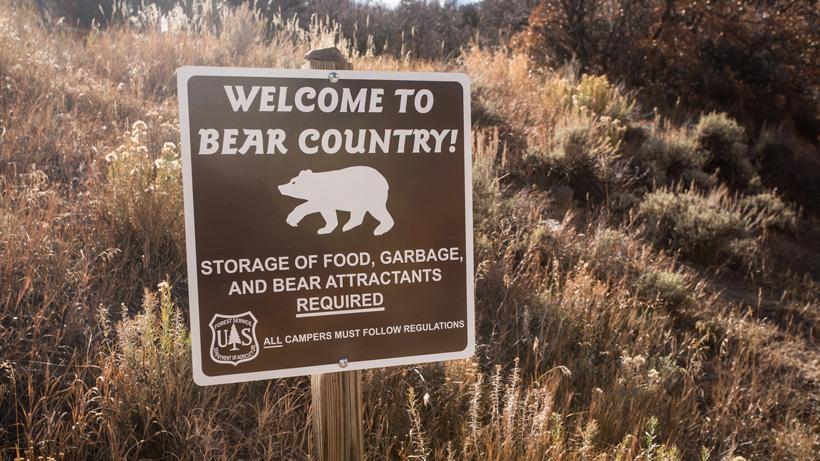 Forest Service bear warning sign