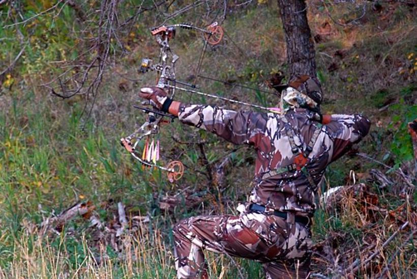 Predator Deception 3D