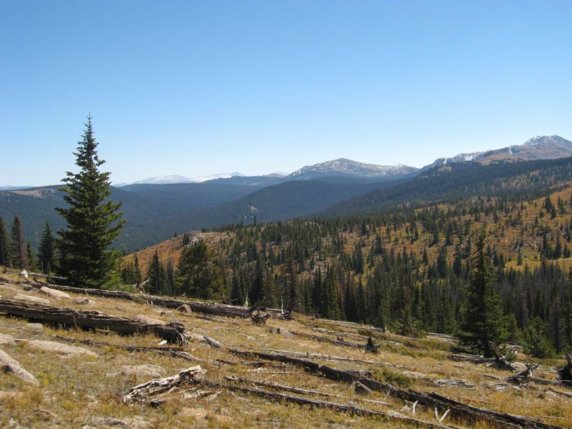 Hunting scenery in colorados backcountry